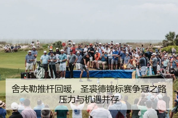 she-fu-lei-tui-gan-hui-nuan-sheng-qiu-de-jin-biao-sai-zheng-guan-zhi-lu-ya-li-yu-ji-yu-bing-cun-2-483.jpg