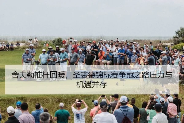 she-fu-lei-tui-gan-hui-nuan-sheng-qiu-de-jin-biao-sai-zheng-guan-zhi-lu-ya-li-yu-ji-yu-bing-cun-3-992.jpg