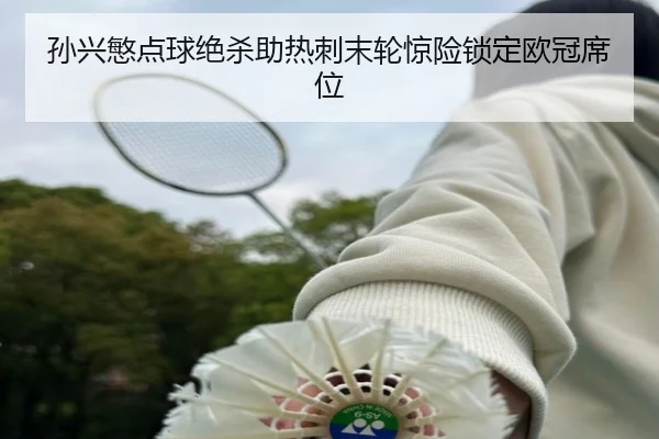 孙兴慜点球绝杀助热刺末轮惊险锁定欧冠席位