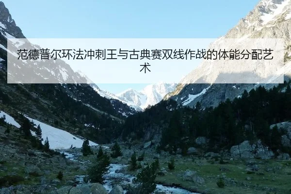 fan-de-pu-er-huan-fa-chong-ci-wang-yu-gu-dian-sai-shuang-xian-zuo-zhan-de-ti-neng-fen-pei-yi-shu-2-914.jpg