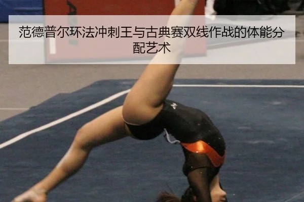 fan-de-pu-er-huan-fa-chong-ci-wang-yu-gu-dian-sai-shuang-xian-zuo-zhan-de-ti-neng-fen-pei-yi-shu-3-632.jpg
